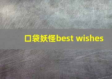 口袋妖怪best wishes